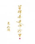 星辉落进风沙里