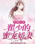 先婚后爱:翟少的蜜宠娇妻