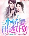 小娇妻出逃计划