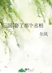 [三国]娶了那个丞相