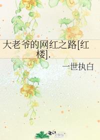 大老爷的网红之路[红楼].