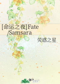 [命运之夜]Fate/Samsara
