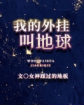 我的外挂叫地球