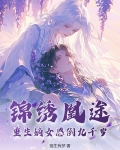 锦绣凰途之重生侯府嫡女