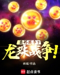 圣杯战争？龙珠战争！