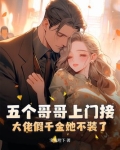五个大佬哥哥拦婚