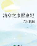 清穿之康熙惠妃