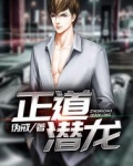 正道潜龙