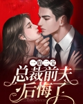 一胎二宝后总裁前夫后悔了