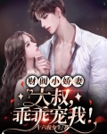 财阀小娇妻：大叔，乖乖宠我！