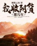 我收阴货那几年