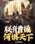 朕有曹操，何惧天下