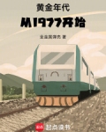 黄金年代从1977开始小说