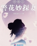 侦婚之警花妙探妻
