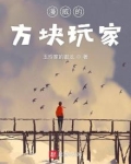 漫威的方块玩家