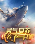 灵气复苏：我养了一只鲲