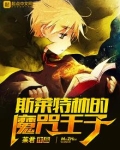 斯莱特林的魔咒王子