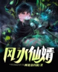 风水仙婿