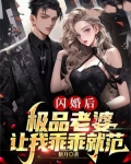 闪婚后，极品老婆让我乖乖就范