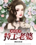 我的绝美特工老婆
