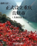 战略交汇：正式设立重庆直辖市