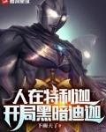 人在特利迦：开局黑暗迪迦