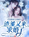空降萌宝：妈咪，渣爹又来求婚了！