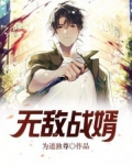 无敌战婿